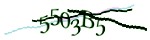 Mã bảo mật