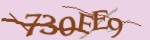 Mã bảo mật